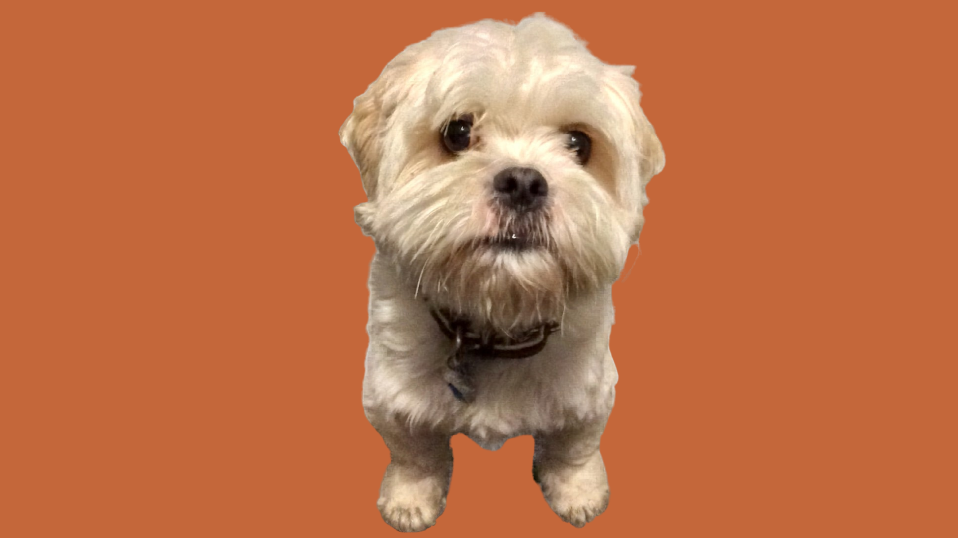 Howie